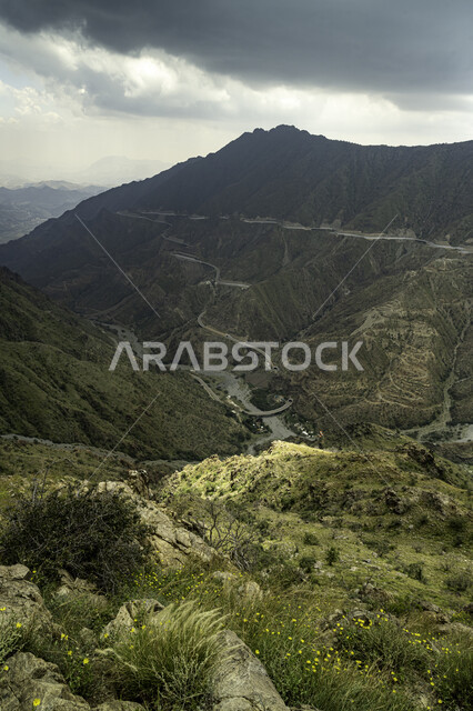  النباتات والأشجار الطبيعية ، المرتفعات الجبلية ،الطبيعة الجبلية في مدينة الباحة في المملكة العربية السعودية ، السحب والغيوم فوق جبال الباحة