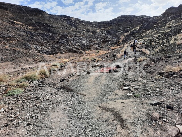 هواية تسلق الجبال، مجموعة من الرجال العرب الخليجيين السعوديين يتسلقون جبال المدينة المنورة في المملكة العربية السعودية، القمم والمرتفعات الجبلية، جبال المدينة المنورة الصخرية، تضاريس الطبيعة الجبلية في السعودية، اماكن سياحية في السعودية