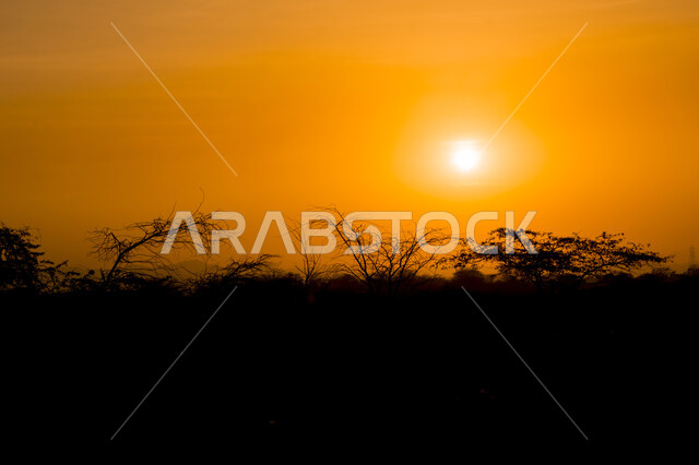 صورة ظلية للاشجار مع السماء الحمراء، مناظر طبيعية وقت غروب الشمس، خلفية الطبيعة