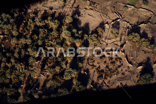 التشجير وزراعة النباتات، مطل الجراند كانيون, منظر طبيعي علوي لأشجار النخيل في جبال طويق في الرياض في المملكة العربية السعودية, حافة نهاية العالم, مناطق سياحية مميزة, السياحة في المملكة العربية السعودية .