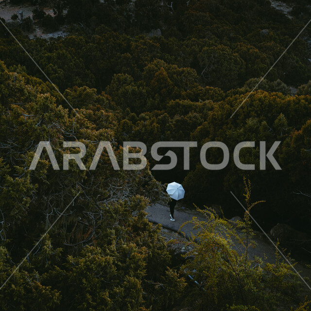 صورة من الخلف لرجل يحمل مظلة حامية من الامطار ويتجول في غابات السودة في عسير في المملكة العربية السعودية، الاشجار والنباتات الخضراء، الطبيعة الخضراء في عسير، السياحة في السعودية