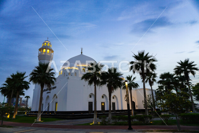 الفن الهندسي والمعماري لمسجد كورنيش الخبر , الواجهه البحريه على ساحل البحر الأحمر, معالم سياحيه مشهوره في مدينة الدمام, التشجير وزراعة النباتات