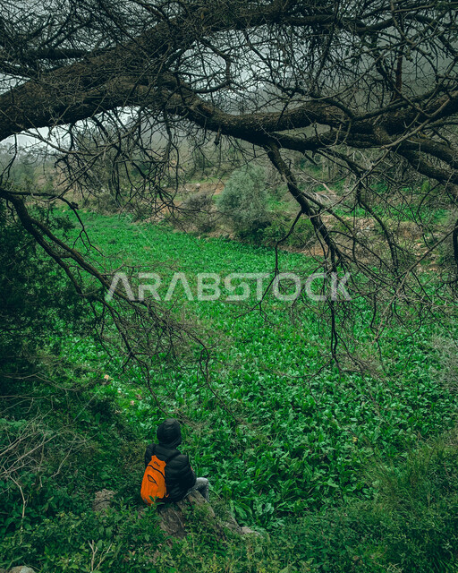 A young man wearing a personal backpack and sitting among the trees in a garden in the village of Al-Mandaq in Al-Baha, Saudi Arabia, green trees and plants, green nature in Al-Baha, Saudi gardens and forests
