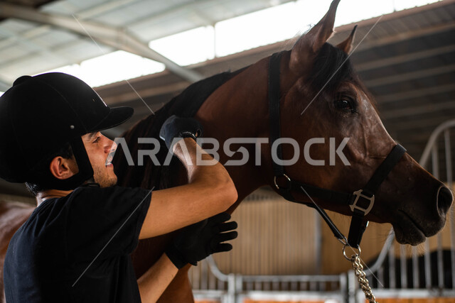   مفهوم الرعاية والاهتمام بالخيول العربية، حصان بني أصيل في إسطبل الأحصنة، شاب عربي خليجي سعودي يقوم بتمشيط شعر الفرس والاعتناء به، إيماءات تدل على السعادة وقضاء وقت ممتمع مع أدهم أصيل، ممارسة هواية ركوب الخيل