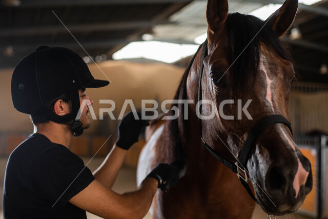  حصان بني أصيل في إسطبل الأحصنة، شاب عربي خليجي سعودي يقوم بتمشيط شعر الفرس والاعتناء به، إيماءات تدل على السعادة وقضاء وقت ممتمع مع أدهم أصيل، مفهوم الرعاية والاهتمام بالخيول العربية، ممارسة هواية ركوب الخيل