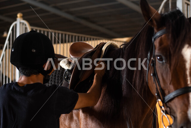 التجهيز و الاستعداد لركوب الحصان, الرفق و العطف على الحيوانات، تركيب السرج على ظهر الفرس في اسطبل الأحصنة  ، صورة من الخلف لرجل سعودي خليجي يرتدي زي الفروسية ويقوم بتركيب السرج، الاستعداد لركوب الخيل