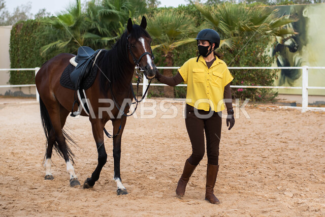 هواية ركوب الخيل , حصان بني عربي أصيل , مهارات و أشطة ترفيهية في نادي الفروسية , فارسة سعودية خليجية عربية ترتدي زي الفروسية الأصفر تقوم برعاية جوادها , مزرعة تدريب و ترويض الخيول ,  الالتزام بالاجراءات الوقائية بارتداء الكمامة , الوقاية من فايروس كورونا