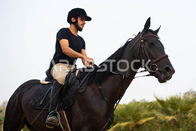 صورة جانبية في مزرعة تدريب وترويض الخيول ضمن المملكة العربية السعودية ،تربية الأحصنة في الأسطبل، شاب عربي خليجي سعودي  يمتطي جواد أصيل ويرتدي زي الفارس، هواية ركوب الخيل بمهارة , حصان أسود ضمن نادي الفروسية، نشاطات ترفيهية  ممتعة برفقة الحيوانات. 