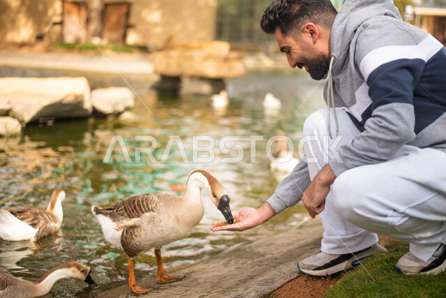 فعاليات و أنشطة ترفيهية، رجل عربي سعودي خليجي  يقوم بإطعام طيور البط,  قضاء أوقات ممتعة في حديقة الحيوانات في المملكة العربية السعودية، أماكن سياحية ترفيهية بالسعودية، حيوانات برية في المحمية الطبيعية.