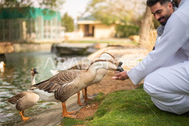 Spending fun times feeding the animals in the nature reserve, the Riyadh season safari event, two Saudi Arabian Gulf men on a tour inside the zoo in Saudi Arabia.