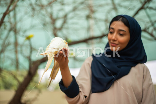 فعالية موسم سفاري الرياض، تربية ورعاية الطيور في مزارع مخصصة ، صورة مقربة لسيدة عربية  سعودية خليجية محجبة تلهو مع الطيور في حديقة الحيوانات في السعودية، طيور في المحمية الطبيعية ،  أماكن سياحية .