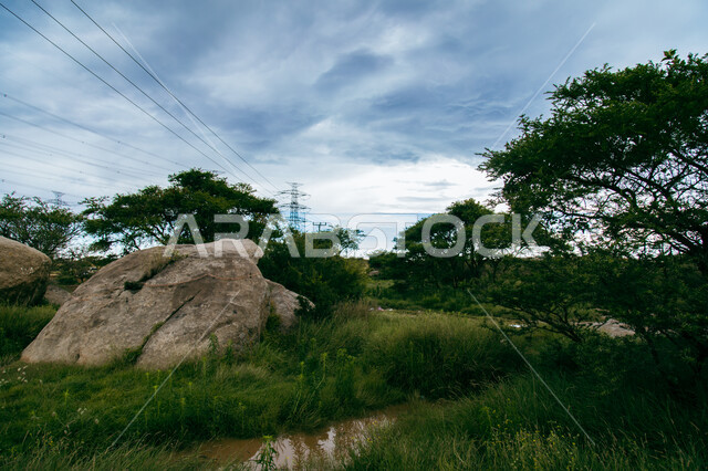 التكوينات والتشكيلات الصخرية  في منطقة عسير في المملكة العربية السعودية, زراعة الاشجار والنباتات الخضراء, معالم سياحية مشهورة , السماء الملبدة بالغيوم, خلفية الطبيعة