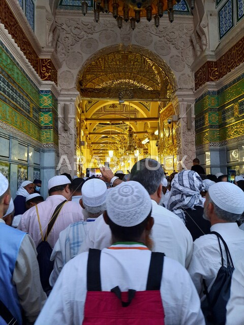 تجمع المسلمين للدخول الى الروضة المشرفة في المسجد النبوي الشريف في المدينة المنورة ، مسجد رسول الله ، محراب النبي في الروضة الشريفة في المملكة العربية السعودية ، رياض الجنة ،الحرم المدني من الداخل