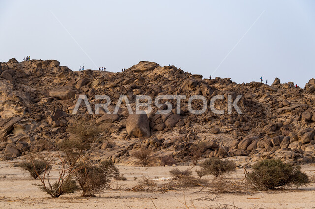 المشي في الصحراء، ممارسة رياضة الهايكنج، مجموعة من الشباب العرب الخليجيين السعوديين يتسلقون الجبال، جبال القمر في مدينة جدة في المملكة العربية السعودية، قمم ومرتفعات جبلية، حجارة وصخور جبلية، اماكن سياحية في السعودية، انشطة بدنية ترفيهية