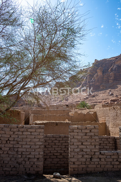 التكوينات الصخرية في المناطق الصحراوية، الاشجار والنباتات الخضراء، البيوت والمباني الاثرية القديمة في محافظة العلا في المملكة العربية السعودية، معالم اثرية تاريخية قديمة، القمم والمرتفعات الجبلية، اماكن سياحية في السعودية