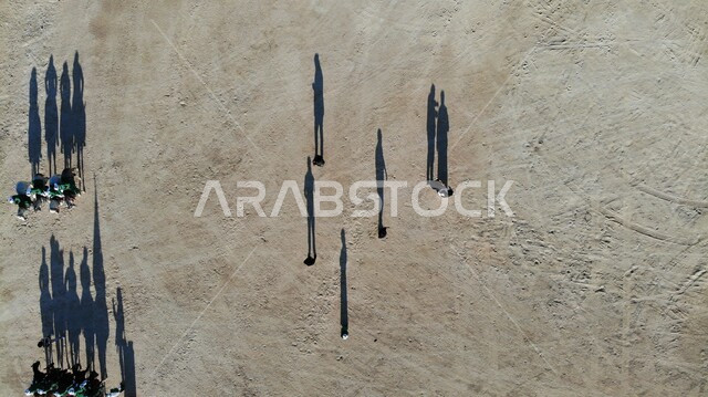 فعاليات ركوب الجمال ، أنشطة ترفيهية في السعودية, ظلال الحيوانات  والمواشي  والأشخاص تحت  اشعة الشمس  على الاراضي البريه, سباقات الخيل و الابل .