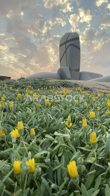Cultivation of plants and flowers, famous cultural landmarks, King Abdulaziz Center for World Culture in Dhahran, Saudi Arabia, architectural art, King Abdulaziz Center building, tourism in Saudi Arabia, tourist attractions, view of the sky full of white 