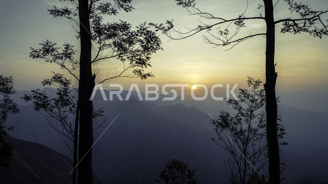 View of sunrise on mountain heights, growing green plants, nature background, cellulite.