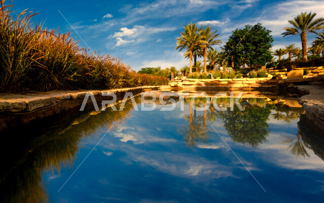 بحيرة مياه وسط الاشجار في الدرعية في مدينة الرياض في السعودية، الاشجار والنباتات الخضراء، محاصيل واراضي زراعية، الطبيعة الخضراء في السعودية، خلفية الطبيعة