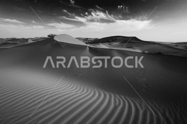 صورة بالابيض والأسود للتلال والكثبان الرملية في صحراء المملكة العربية السعودية ، الرمال الذهبية الناعمةو التضاريس الصحراوية في شبه الجزيرة العربية 