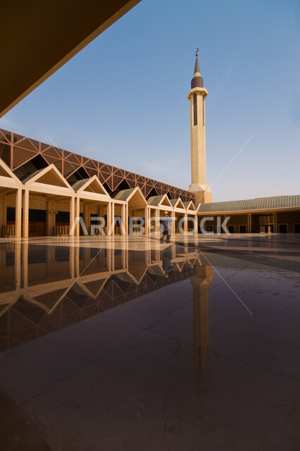 جامعة الإمام محمد بن سعود في الرياض، التعلم عن بعد في كليات متطورة، جودة التعليم وبرامج أكاديمية في جامعات المملكة العربية السعودية 