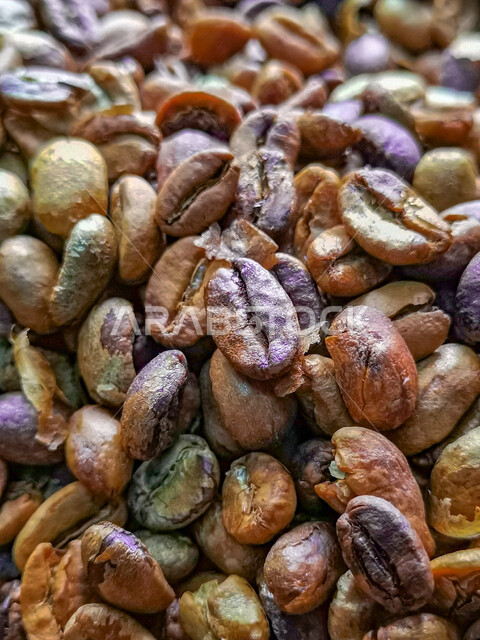 صورة مقربة لحبوب القهوة المحمصة، القهوة العضوية المتناثرة، حبوب بنية مبعثرة، تحميص حبوب البن الخولاني