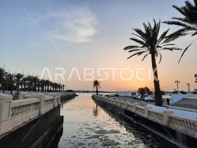 زراعة أشجار النخيل ,الواجهة البحرية في مدينة جدة في المملكة العربية السعودية , أماكن  سياحية مشهورة, مناطق عائليه  ترفيهيه ، معالم كورنيش جدة على ساحل البحر الاحمر ، المنطقة الساحلية في جده الجديده