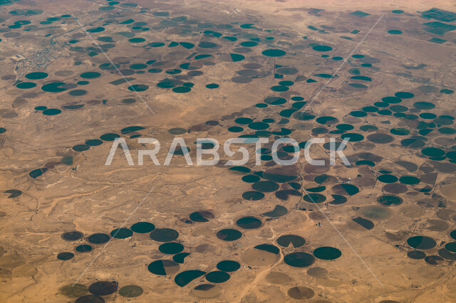 صورة علوية عامودية للمسطحات الخضراء الدائرية في صحراء السعودية، الطبيعة الخضراء في المناطق الصحراوية
