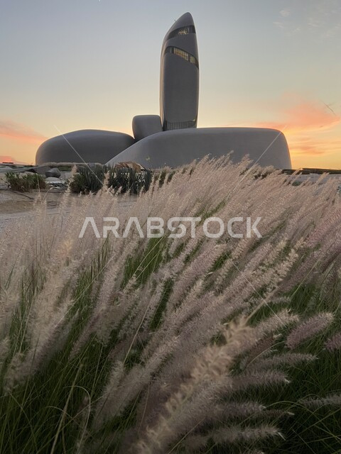 الفن الهندسي المعماري، زراعة النباتات الخضراء و السنابل بالقرب من المعالم الثقافية المشهورة، مركز الملك عبدالعزيز الثقافي العالمي في مدينة الظهران في المملكة العربية السعودية وقت غروب الشمس،  أماكن سياحية في السعودية, خلفية الطبيعة