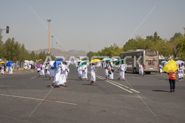 باصات نقل حجاج بيت الله الحرام يرتدون لباس الإحرام في مكة المكرمة في المملكة العربيه السعودية في مشعر منى، اداء مناسك الحج والعمرة، العبادة والتقرب إلى الله في معالم واماكن اسلامية دينية مقدسة, موسم الحج 2023, أداء الفرائض الدينية .