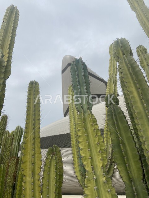 النباتات الشوكية, صورة مقربة لنبات الصبار أمام مركز الملك عبدالعزيز الثقافي العالمي في مدينة الظهران في المملكة العربية السعودية، أماكن سياحية في السعودية, المعالم الثقافية المشهورة, منظر السماء الملبدة بالغيوم, 