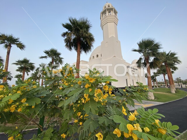 Islamic engineering architecture, Jawza Al-Qahtani Mosque in Al-Khobar in the Kingdom of Saudi Arabia on the waterfront of Al-Khobar Corniche, green palm trees, Islamic tourist attractions, afforestation, palm cultivation and flowers.