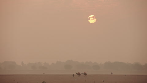 Beautiful and Serene Sunrise with walking people with camels over a misty Desert