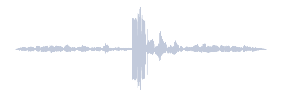 Gray Waveform