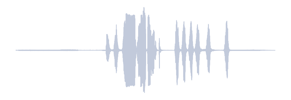 Gray Waveform