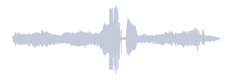 Gray Waveform