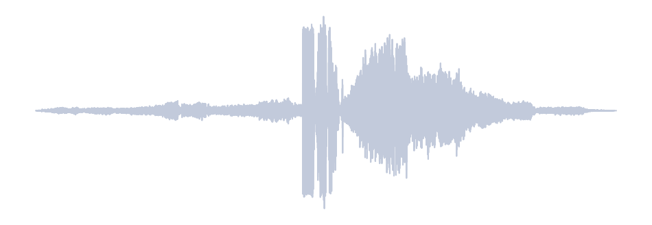 Gray Waveform