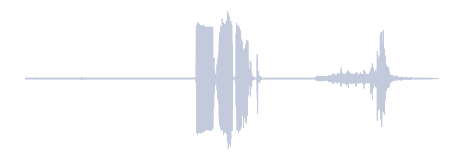 Gray Waveform
