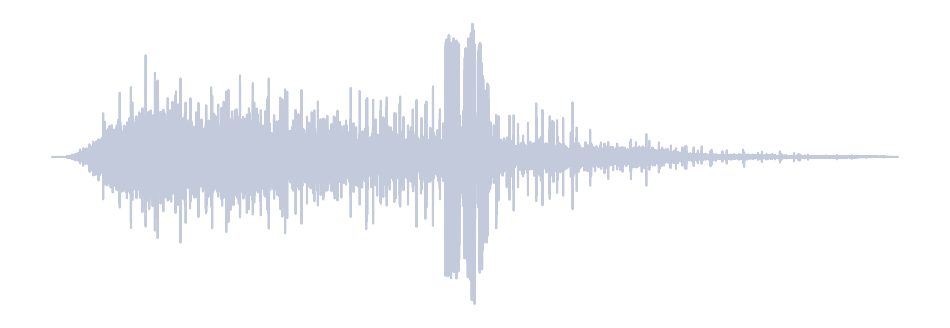Gray Waveform