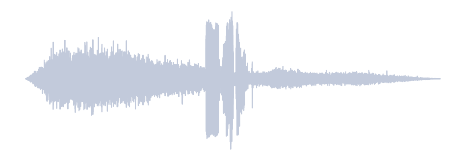 Gray Waveform
