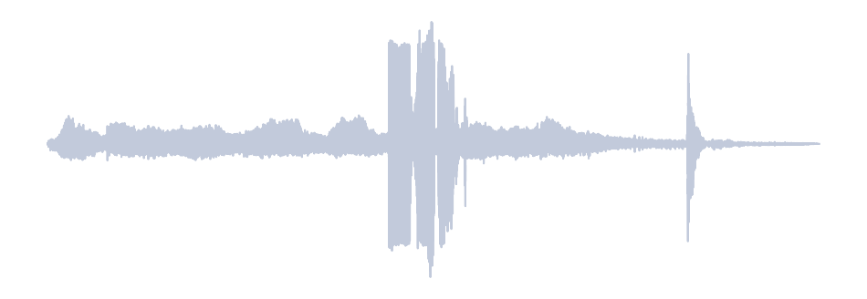 Gray Waveform