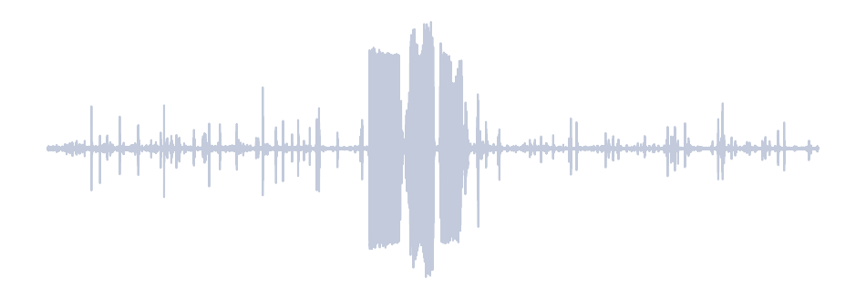 Gray Waveform
