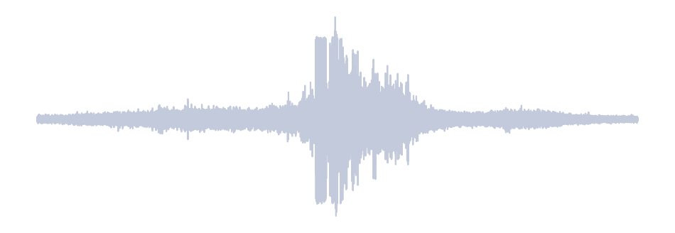 Gray Waveform