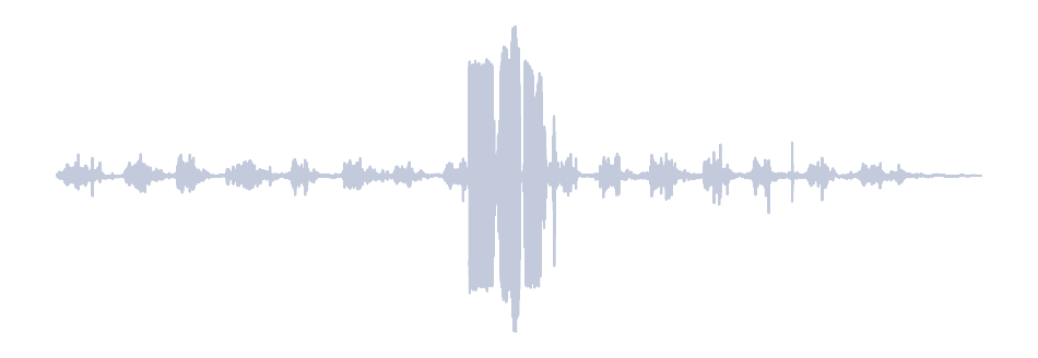 Gray Waveform