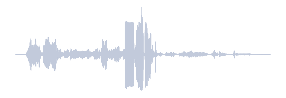 Gray Waveform