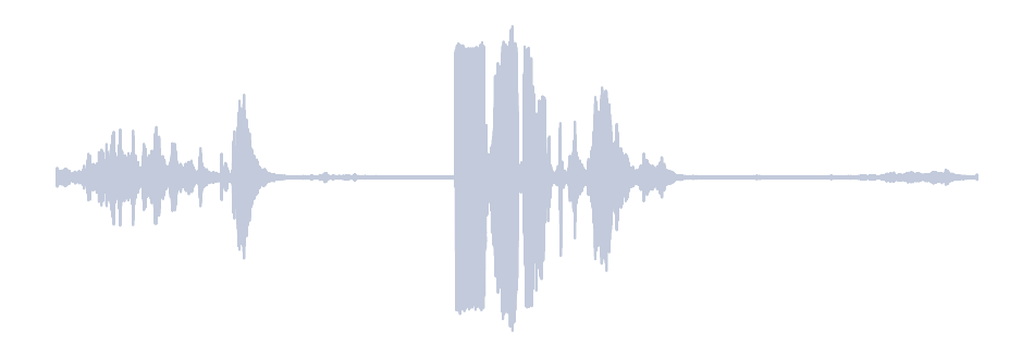 Gray Waveform