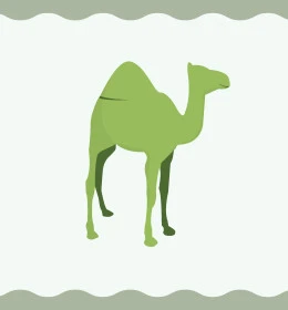 مفهوم الاهتمام والعناية بالثدييات و حيوان الجمل, وسائل النقل القديمة في المملكة العربية السعودية, رسوم توضيحية لسفينة الصحراء باللون الأخضر, خلفية بيضاء, فيكتور اليستريتور