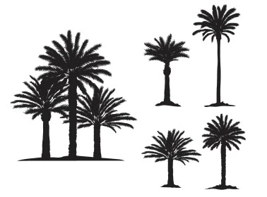 Harvest season, local and national agricultural crops and products, black palm tree drawings, nature reserves in Saudi Arabia, interest in growing plants and fruit trees, white background, vector illustrator