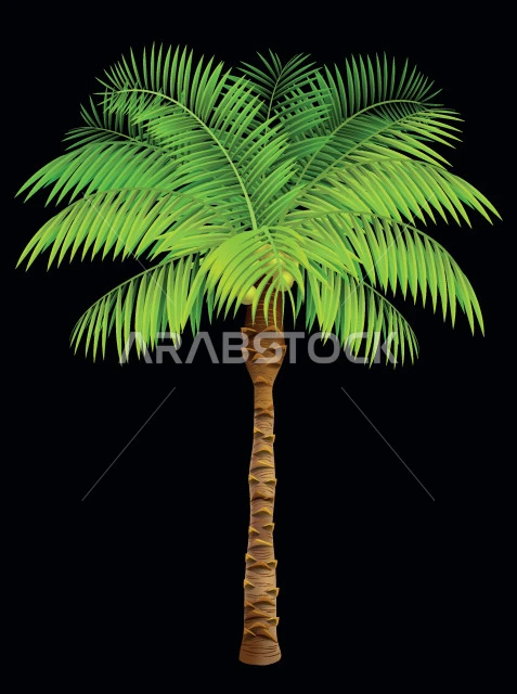 محاصيل و منتجات زراعيه محلية وطنية، رسوم توضيحية ثلاثية الأبعاد لشجرة نخيل، الاهتمام بزراعة النباتات في المحميات الطبيعية, موسم القطاف و الحصاد، خلفية سوداء، فيكتور اليستريتور