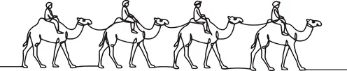 A drawing of a caravan of people on camels in a desert scene, for coloring or educational purposes, depicting knowledge and learning, isolated, with a white background, vector illustration.